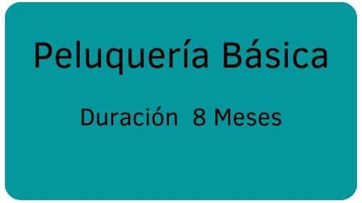 Curso peluqueria basica