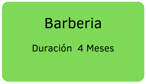 Curso Barberia